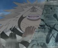 Another candidate for one of the unattractive designs (Image Credits: Eiichiro Oda/Shueisha, Viz Media, One Piece)